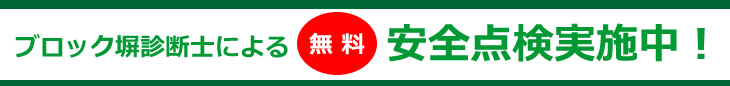 �u���b�N���f�f�m�ɂ�閳�����S�_�����{��